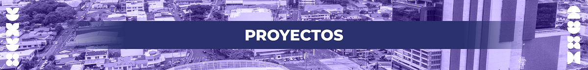 Banner: Proyectos