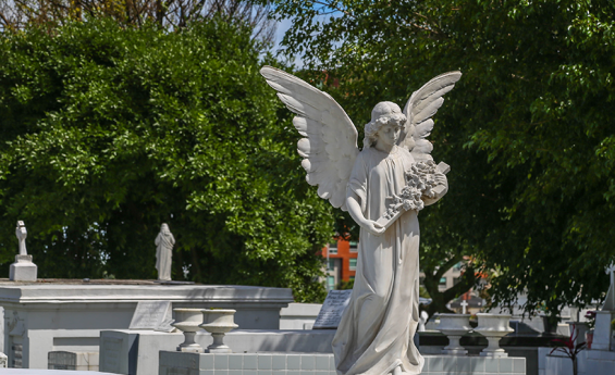 Vista parcial de un cementerio del Cantón Central de San José, en primer plano una figura de ángel en tono grisáceo que sobresale del resto de estructuras o tumbas.